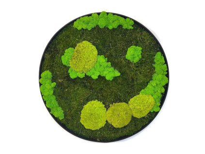 Machový kruh harmónie