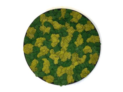 Machový obraz - Kruh lišajník