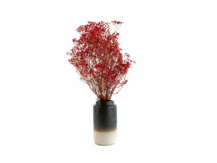 Stabilizované kvety Gypsophila - purple