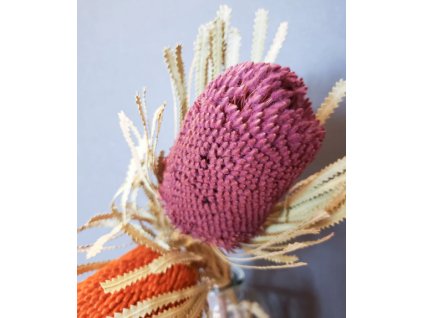 Sušené kvety - Banksia - ružová