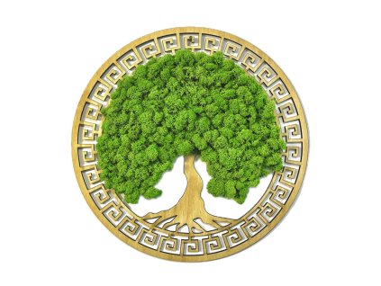 7EB3CFE5 9E60 487B A44D C6360FB5E4A0