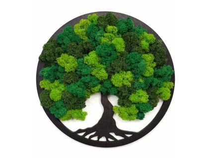 Machovy strom zivota