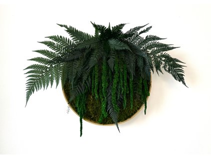 Machový kruh - Lola