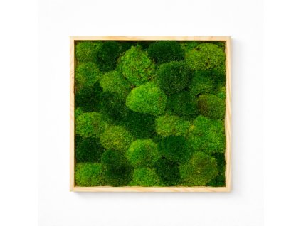 Machový obraz štvorec - kopčeky