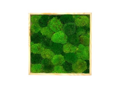 Machový obraz štvorec - kopčeky