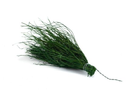 Stabilizovaný asparagus Posy