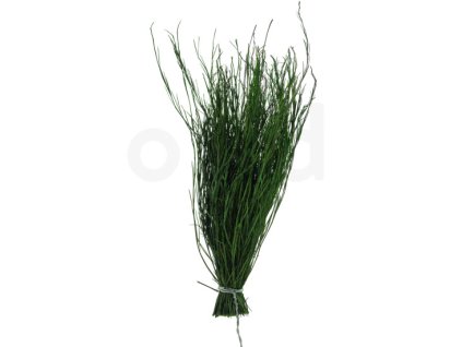 Stabilizovaný asparagus Posy