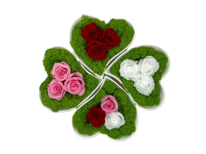 Stabilizovaná dekorácia srdce - LOVE