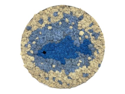 Machový kruh - Natural s rybičkou v bubline