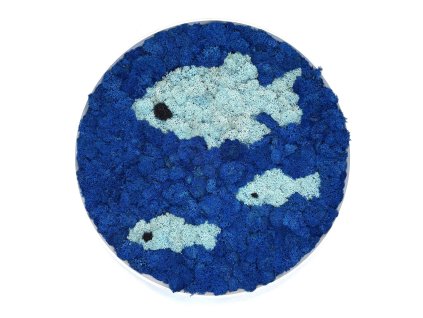 Machový kruh - Modrá voda a rybičky