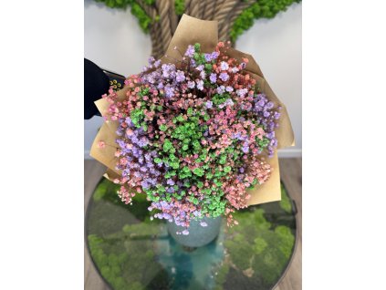Stabilizované kytice Gypsophily ružová zelená fialová