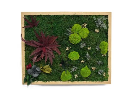 Machový obraz - Paradise II