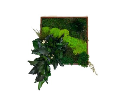 Machový obraz - garden