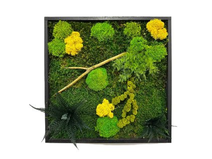 Machový obraz mini nature