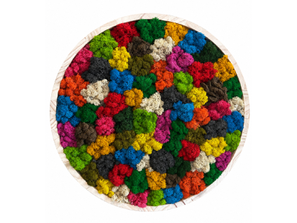 Machový kruh - Rainbow