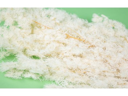 Stabilizovana paprad ming biela