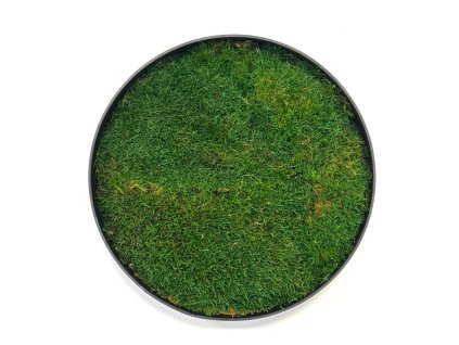 Machový obraz - Kruh s plochý machom