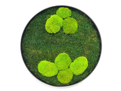 Machový obraz - Kruh s plochým a kopčekovým machom