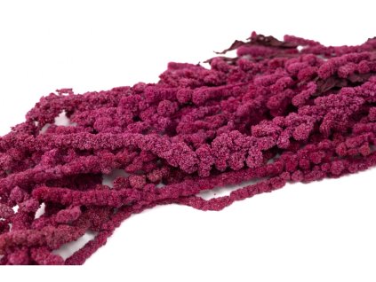 preserved ball amaranthus 26