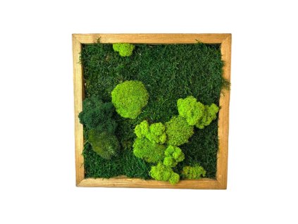 Machový obraz štvorec so stabilizovaným machom