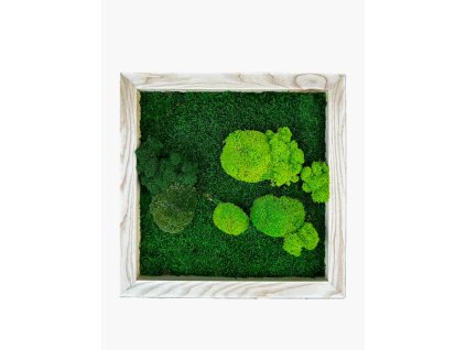 Machový obraz štvorec so stabilizovaným machom