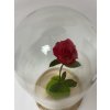 Stabilizovaná ruža v kopule - Princ