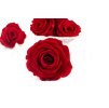 Stabilizovaná ruža – hlava M červená