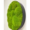 Machový obraz - Kruh - Ball moss