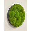 Machový obraz - Kruh - Ball moss