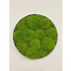 Machový obraz - Kruh - Ball moss