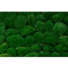 fire retardant preserved pole moss 5 cn (2)