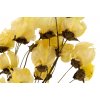 Sušené kvety Bougainvillea Branch - žltá