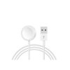 apple watch magnetic charging cable 1m bulk
