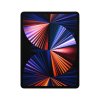 ipad pro cellular 12.9 in space gray pdp image position 1a wwen 4
