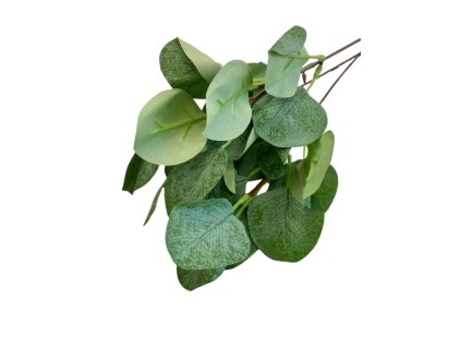 Umělý eukalyptus - kulatý