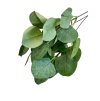 Umělý eukalyptus - kulatý