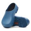 1029638 sole