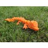🌸🐉 Orchidejový dráček z 3D tiskárny – 3D tištěná hračka a fantasy dekorace pro děti i dospělé  Designová česká tvorba – pohyblivý fantasy drak inspirovaný orchidejemi