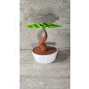 3D Tisk - Bonsai balanční hra - PET-G