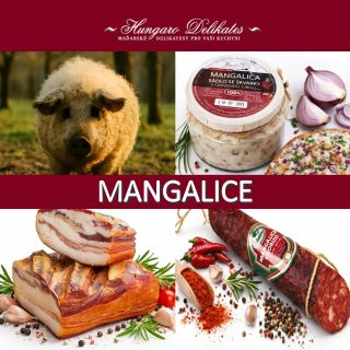 Mangalica není jen „další vepřové“. 🐖 Je to tradiční maďarské plemeno, které si získalo jméno díky jemně mramorovanému...