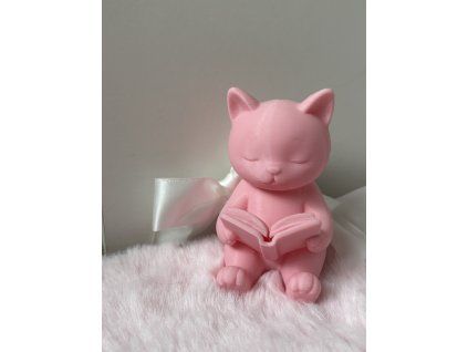 Reading Cat