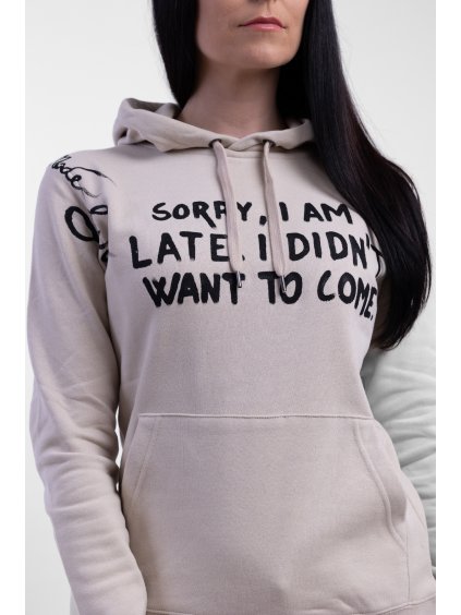 Sorry I am late I didn`t want to come