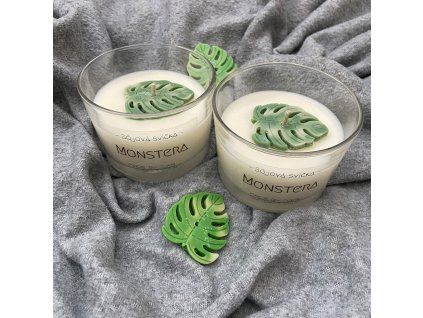 Monstera