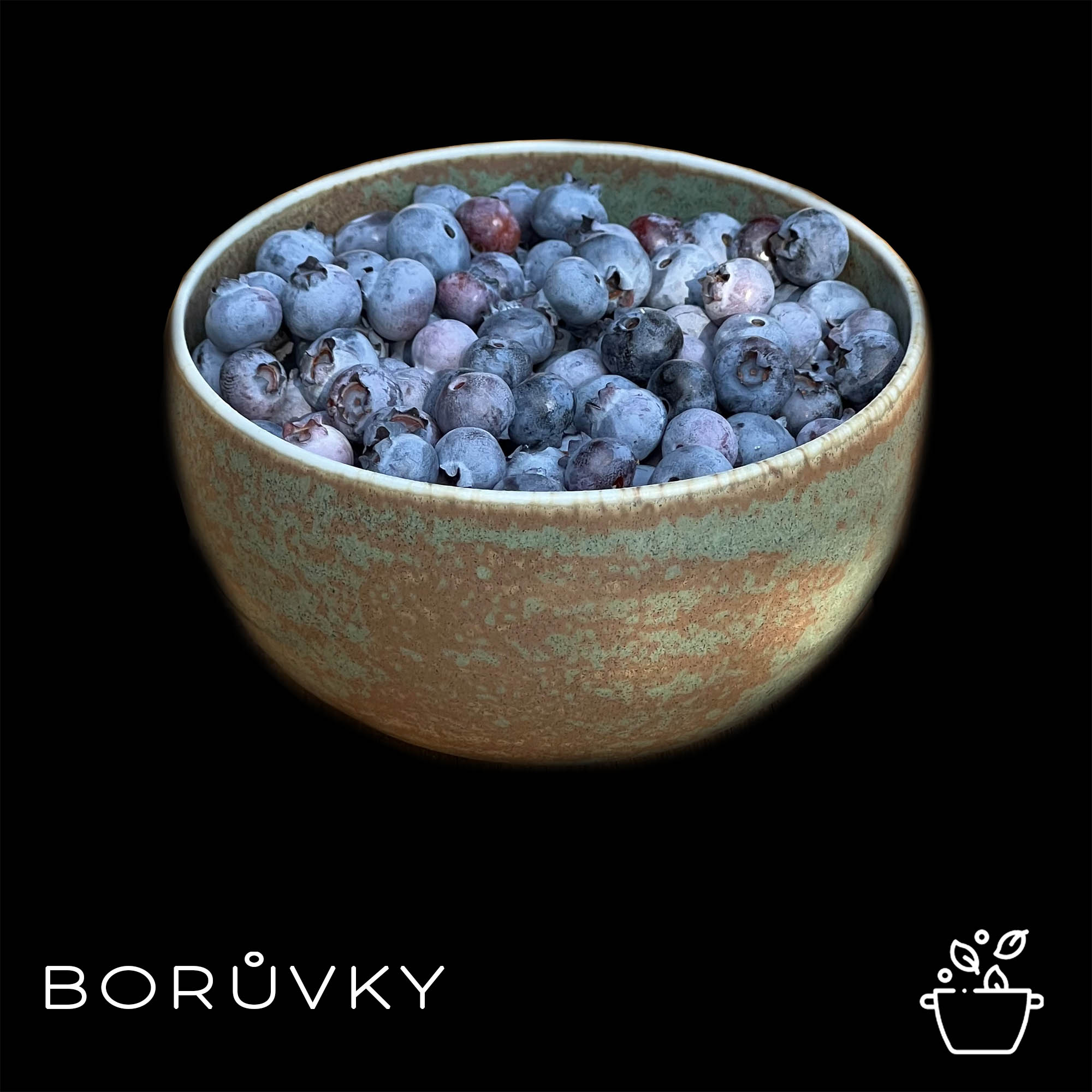Borůvky jako superpotravina