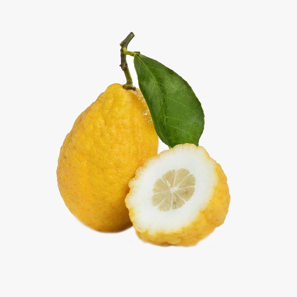 Etrog