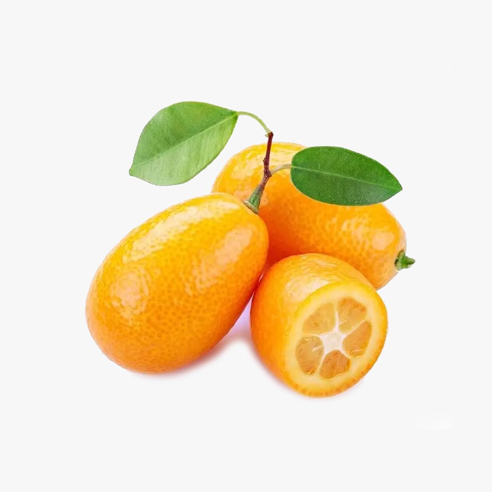Kumquat