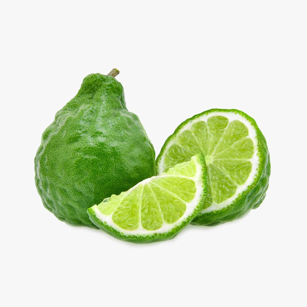 Bergamot (Citrus bergamia)