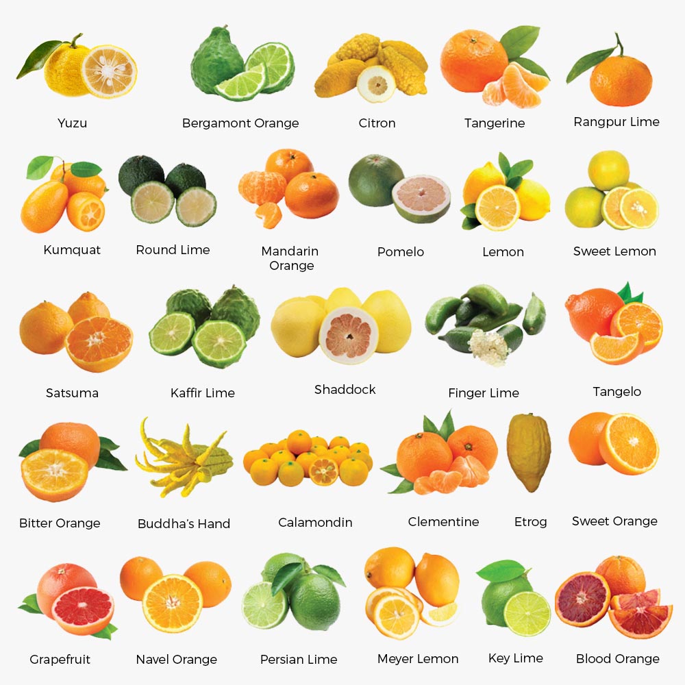 Citrusy