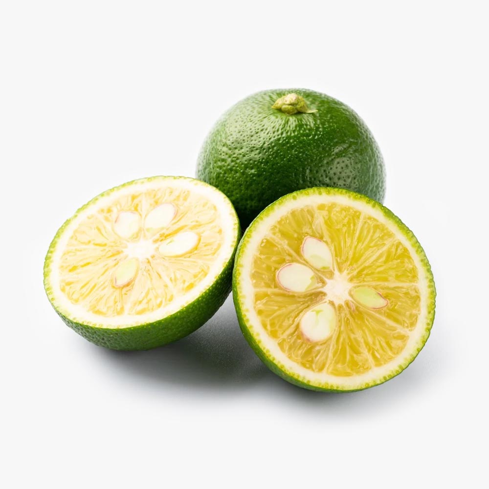Sudachi