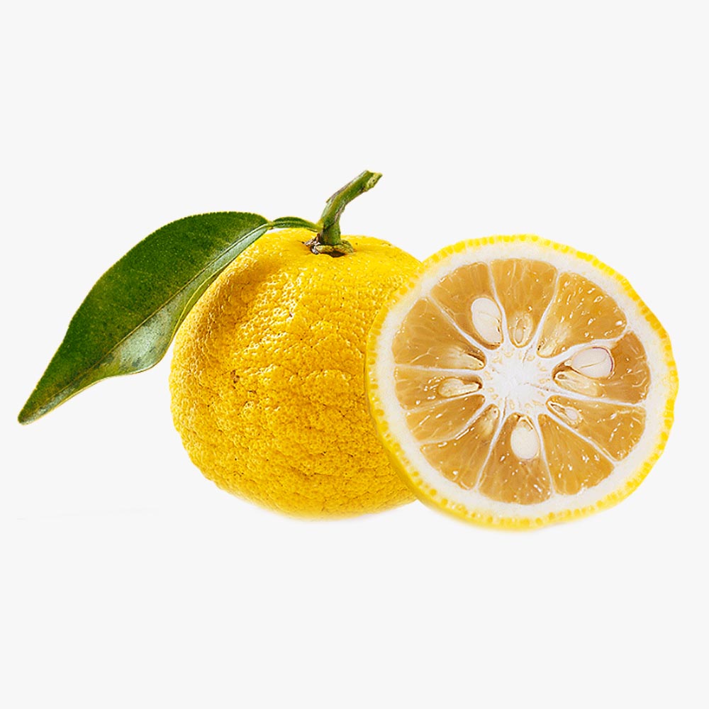 Yuzu